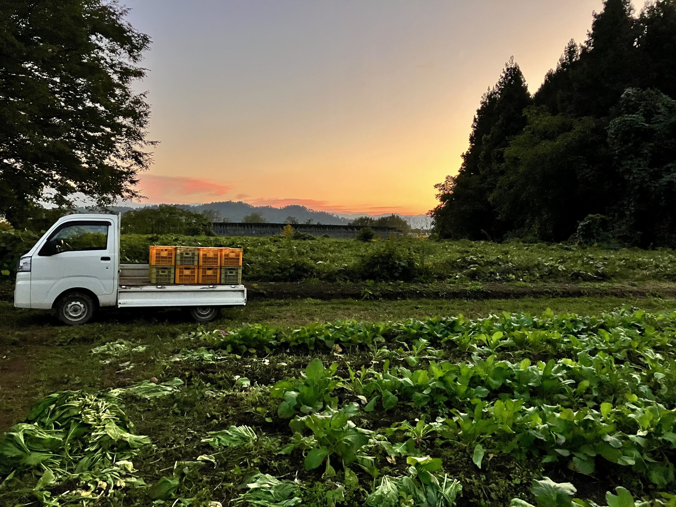 スポンサーイメージ