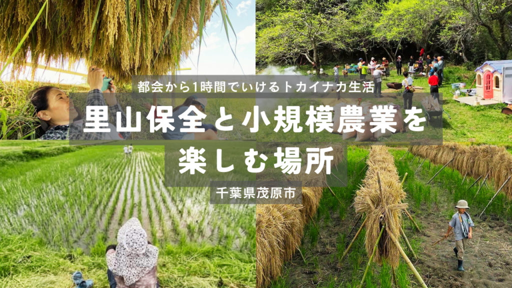 アウラモバラ（都心から1時間でいけるトカイナカ生活・里山保全と小規模農業を楽しむ場所）【千葉県茂原市】